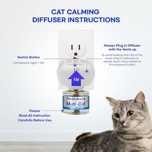Cat Calming Pheromone Plug Diffuser: Enhanced Multicat Calming Pheromones Diffusers - Multi Cat Calm Anti Anxiety Pheromone Diffuser for Cats Stress Relief - Cats Calm Diffusers 1 Pack/60 Day Supply in Kuwait