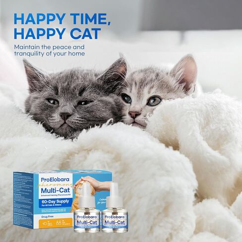 Cat Calming Pheromone Plug Diffuser: Enhanced Multicat Calming Pheromones Diffusers - Multi Cat Calm Anti Anxiety Pheromone Diffuser for Cats Stress Relief - Cats Calm Diffusers 1 Pack/60 Day Supply in Kuwait