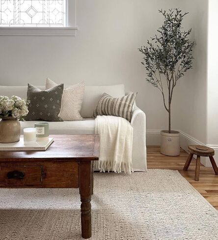 FRELISH DECOR Handwoven Jute Blend Cotton Area Rug - Contemporary Farmhouse Decor- Vintage Rustic Nautical Rugs for Bedroom - Living Room - Kitchen - Classy Home Decor (6'x9') in Saudi Arabia