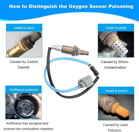 jdmon 1pcs مستشعر Oxygen O2 في المنبع للاستبدال لعام 2003-2007 هوندا أكورد 2.4L متوافق مع 234-9040 ، 2349040 ، 36531Raa01 in Saudi Arabia