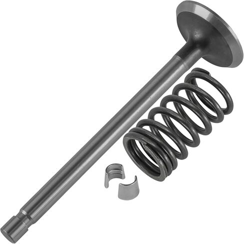 Caltric 235008-S مجموعة صمامات الصمامات المتوافقة مع Kohler K241-46109 K241-46111 K241-46118 K241-46119 K241-46121 in Saudi Arabia