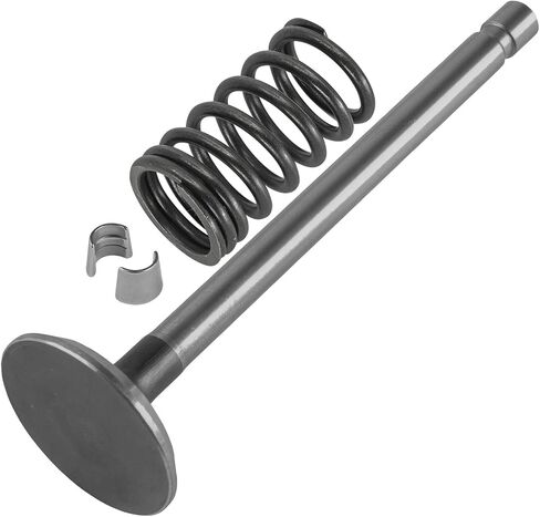 Caltric 235008-S مجموعة صمامات الصمامات المتوافقة مع Kohler K241-46109 K241-46111 K241-46118 K241-46119 K241-46121 in Saudi Arabia