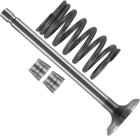 Caltric 235008-S مجموعة صمامات الصمامات المتوافقة مع Kohler K241-46109 K241-46111 K241-46118 K241-46119 K241-46121 in Saudi Arabia