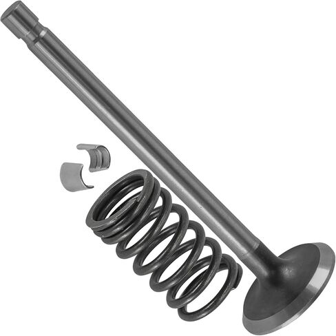 Caltric 235008-S مجموعة صمامات الصمامات المتوافقة مع Kohler K241-46109 K241-46111 K241-46118 K241-46119 K241-46121 in Saudi Arabia