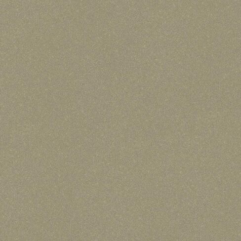 طلاء السيارات لفورد LQ ، Pale Adobe Metallic ، 11oz Aerosol in Saudi Arabia