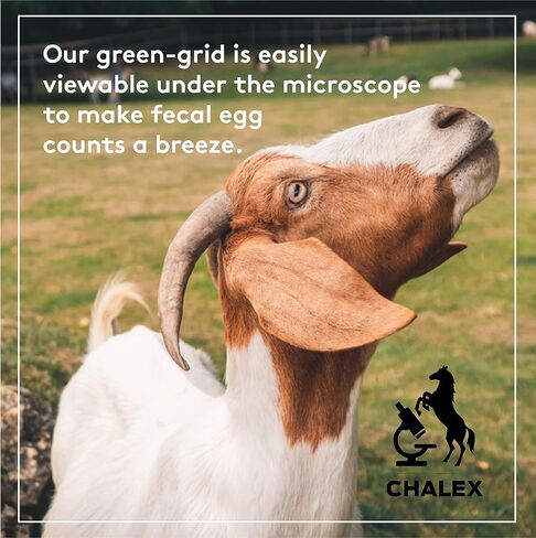 The Original Two-Chamber Opaque McMaster Counting Vet Slide by Chalex, Fecal Sample Worm Egg EPG Count for Parasites in Horses Sheep Cattle and Goats, for Veterinarian and Farm in Kuwait