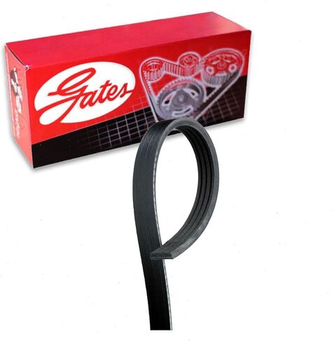 Gates Micro-V Serpentine Belt compatible with Ford Focus 2.0L L4 2012-2018 in Saudi Arabia