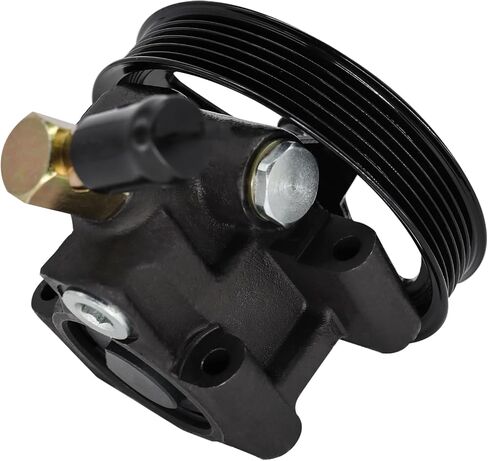 Detroit Axle-Power Defere Pump for Ford F-150 F-250 HD Expedition Mercury Grand Marquis Crown Victoria Lobo ، مضخة توجيه باور مع استبدال البكرة in Saudi Arabia