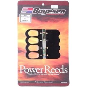 Johnson Evinrude Power Reed Kit 50 Hp 2 Cylinder 1971-2005 Boyesen 124 in Saudi Arabia
