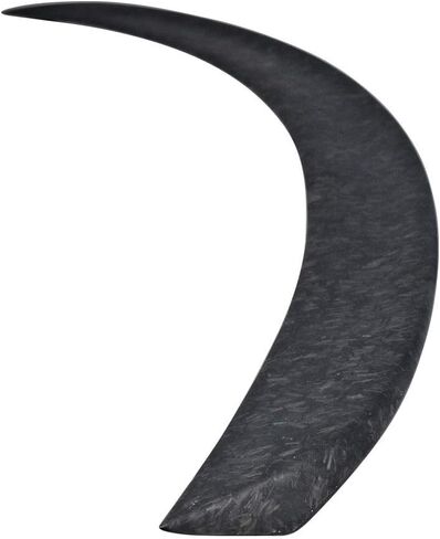 IKON MOTORSPORTS, Trunk Spoiler Compatible with 2012-2025 Tesla Model S Sedan, OE Style Matte Carbon Fiber Rear Trunk Lid Spoiler Wing Lip,1PC in Saudi Arabia