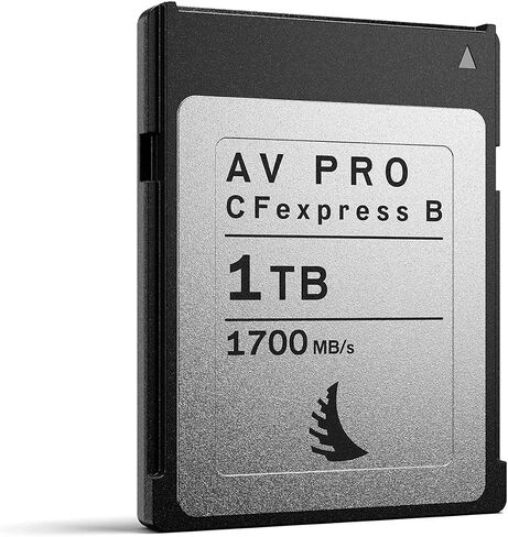 AV PRO CFexpress Type B Card | 512 GB in Kuwait