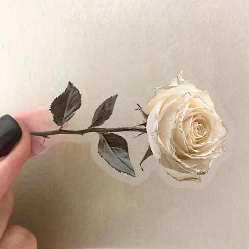 50PCS Dark Aesthetic Stickers,Black Rose Romance Stickers,Transparent PET Stickers,Gothic Scrapbook Supplies,Water Bottle Stickers for Bullet Journal Laptop Skateboard Computer Guitar Stickers in Saudi Arabia