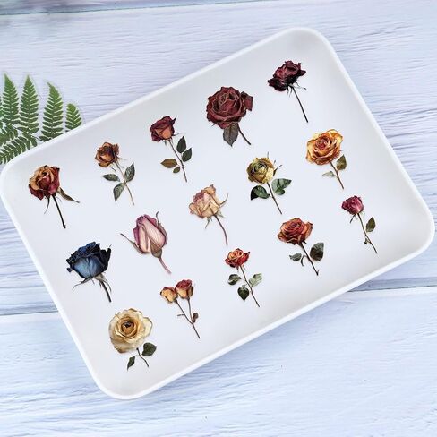 50PCS Dark Aesthetic Stickers,Black Rose Romance Stickers,Transparent PET Stickers,Gothic Scrapbook Supplies,Water Bottle Stickers for Bullet Journal Laptop Skateboard Computer Guitar Stickers in Saudi Arabia