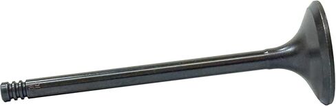 DNJ EV4317 Exhaust Valve for 2014-2022 Ram 2500, 3500, 4500 6.4L V8 16V OHV 6424cc in Saudi Arabia