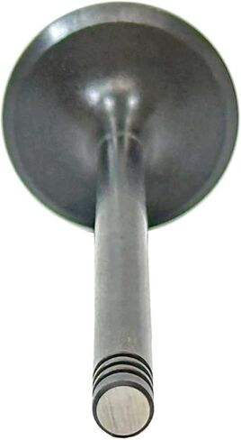 DNJ EV4317 Exhaust Valve for 2014-2022 Ram 2500, 3500, 4500 6.4L V8 16V OHV 6424cc in Saudi Arabia