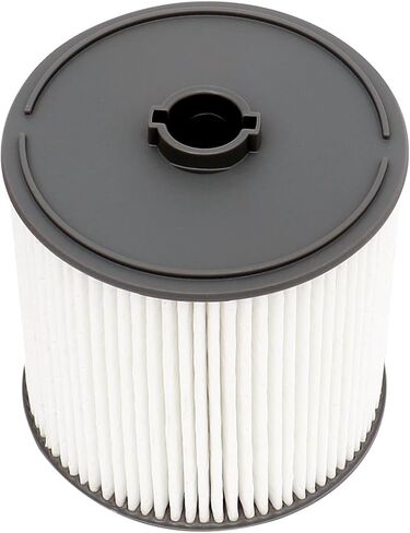 FKG FUEL FILTERS FILTER FILTER 68507598AA 68436631AA FIT لعام 2020-2023 JEEP GAEP GAEP JEEP WRANGLER JL (ECODIESEL 3.0L V6) ، 2020-2023 RAM 1500 DT (ECODIESEL 3.0L V6) in Saudi Arabia