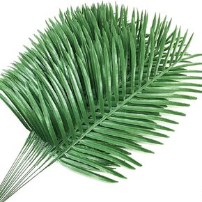 24pack Palm Leaves Franses for Palm Sunday Plants Palms Palms Frond Frond Plant for Floral Party Hawaiian Jungle Beach Party (24 ، Green) in Kuwait