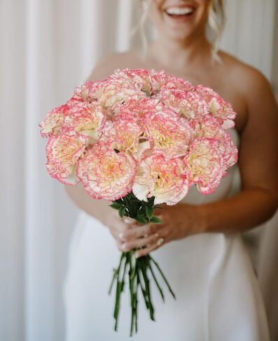 16pcs القرنفلات الوردي الزهور الاصطناعية 14.8 '' زهور الحرير قرنفل وهمية مع قرنفل فو ، زهور مركبة منزلية مركزية ديكور الزفاف ترتيبات الأزهار (الوردي الفاتح) in Kuwait