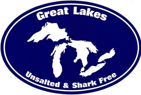 CafePress Great Lakes Shark Free Oval Car Bumper Sticker in Saudi Arabia