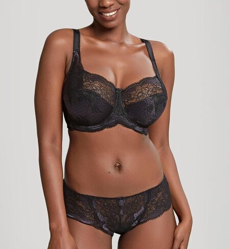 Panache Women's Clara Lace & Sheer Bikini Brief | امتداد اللباس الداخلي الدانتيل ، الراحة اليومية ، ملابس داخلية بيكيني in Kuwait