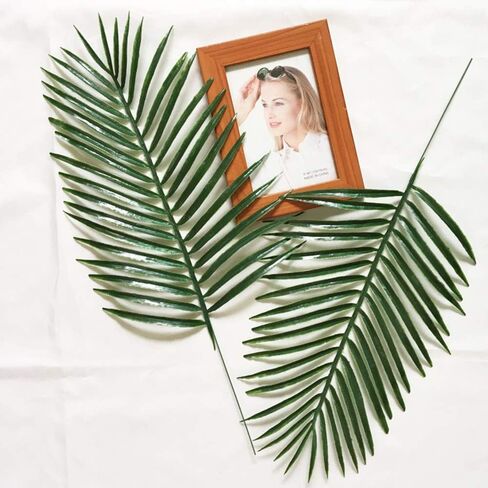 24pack Palm Leaves Franses for Palm Sunday Plants Palms Palms Frond Frond Plant for Floral Party Hawaiian Jungle Beach Party (24 ، Green) in Kuwait