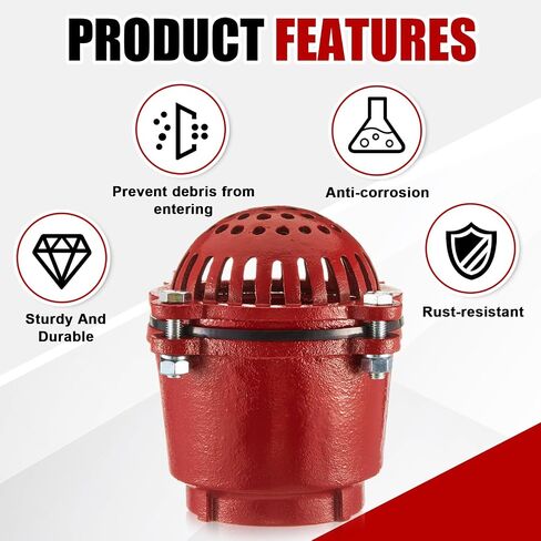 3 Inch Cast Iron Foot Valve NPT Painted Carbon Threaded Foot Valve for Water Service Only in Kuwait