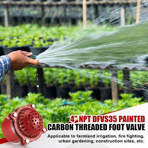 3 Inch Cast Iron Foot Valve NPT Painted Carbon Threaded Foot Valve for Water Service Only in Kuwait
