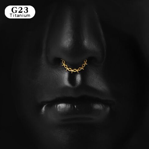 1pc Titanium Nose Rings Hoop 16G Multi-pointed Nose Ring Diameter 8mm/10mm Cartilage Helix Daith Rook Earring Hinged ASTM F136 Septum rings Segment Ring Clicker Piercing Silver-Gold-Black in Kuwait