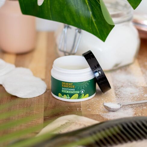 Desert Essence TEA TREE OIL SKIN OINTMENT – Itch Relief, Rash Cream for Razor Burn - Soothing Balm with Lavender & Jojoba - Gluten & Cruelty-Free - 1 oz in Saudi Arabia