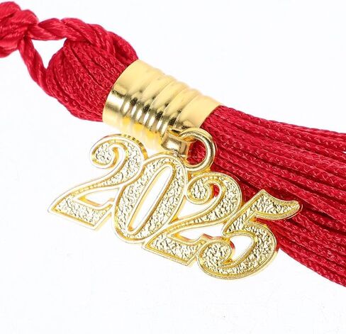 12Pcs 2025Graduation Cap Tassel,Graduation Party Decoration,Party Graduation Gold Tassels,broochAcademicGraduation CeremoniesMulti-Color Tassel Charm (red) in Saudi Arabia