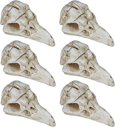 Bbiamsleep 4 Pcs Halloween Raven Skull Figurine Gothic Raven Animal Skulls Mini Resin Crow Skulls Ornament Decor for DIY Projects Gothic Halloween Skeleton Decor in Kuwait
