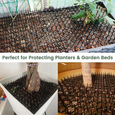 Ley's 12 Pack Cat Deterrent Mat, 6 x 8 in Scat Mat with Spikes, Keep Cats Away from Plants, Indoor Furniture & Outdoor Garden Fence – Pet Repellent Barrier in Kuwait