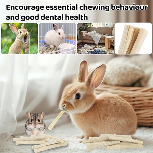 Sukh 240g Sweet Bamboo Chew-Sticks - Natural Rabbit Bamboo Sticks Small Animal Chew Sticks Sweet Bamboo Chew Toy Bunny Molar Treats Atural Teeth Grinding Toys for Squirrel Guinea Pigs Chinchilla in Saudi Arabia