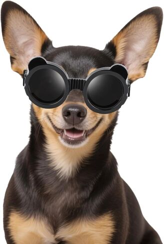 Enjoying Dog Goggles Small Breed, UV Protection Sunglasses for Dogs Small Breed, Windproof Driving Doggy Goggles, Snow Day Dog Eye Protection, Anti-Fog Dustproof, Adjustable Straps, Black in Kuwait
