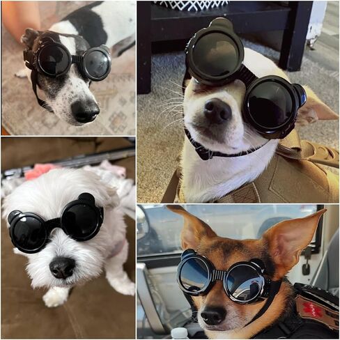 Enjoying Dog Goggles Small Breed, UV Protection Sunglasses for Dogs Small Breed, Windproof Driving Doggy Goggles, Snow Day Dog Eye Protection, Anti-Fog Dustproof, Adjustable Straps, Black in Kuwait