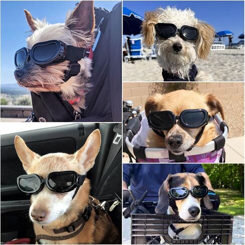 Enjoying Clear Dog Goggles Medium to Large Breed, Dog Sunglasses UV Protection, Large Dogs Driving Eye Protection, Outdoor Windproof Dustproof Anti-Fog, Breathable, Adjustable Straps, Transparent in Saudi Arabia