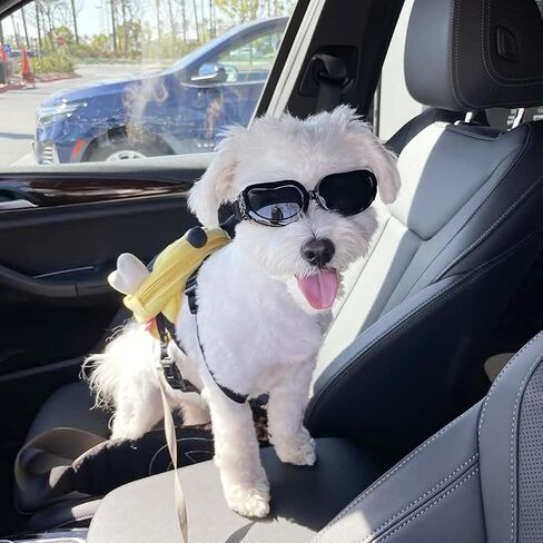 Enjoying Clear Dog Goggles Medium to Large Breed, Dog Sunglasses UV Protection, Large Dogs Driving Eye Protection, Outdoor Windproof Dustproof Anti-Fog, Breathable, Adjustable Straps, Transparent in Saudi Arabia