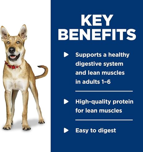 Hill's Science Diet Adult 1-6, Adult 1-6 Premium Nutrition, Wet Dog Food, Beef & Vegetables Stew, 12.8 oz Can, Case of 12 in Kuwait