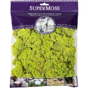 Super Moss 21707 Reindeer Moss Preserved, Chartreuse, 4-Ounce