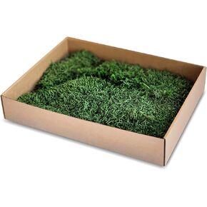 Preserved Flat Sheet Moss - 0,5 sqft/1sqft/2sqft - Natural Lichen Large Flat Sheets - Decorative Moss Covering Soil and Dressing Potted Plant -Moss Art Wall/Table Decor (1sqft, Green Dark)