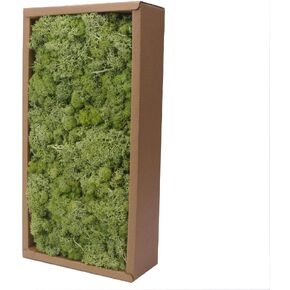 Preserved Moss-3.5 OZ Moss for Crafts Faux Moss Decor Natural Green Moss for Art Wall Florist Decor, Fairy Gardens, Wedding, Floral Project(Light Pink 3.5 OZ)