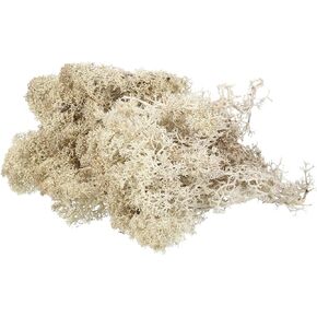 PATIKIL 3.5 OZ Fake Moss, Preserved Reindeer Moss Artificial Moss Lichen Centerpieces Decor Faux Moss for Potted Plants Christmas Craft, Coffee
