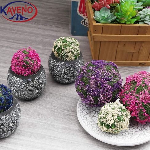 Moss Decorative Ball Colorful Natural Moss Ball 2.4"-Set of 12 (Pink 2.4") in Saudi Arabia