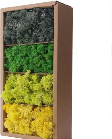 Preserved Moss-3.5 OZ Moss for Crafts Faux Moss Decor Natural Green Moss for Art Wall Florist Decor, Fairy Gardens, Wedding, Floral Project(Light Pink 3.5 OZ) in Saudi Arabia