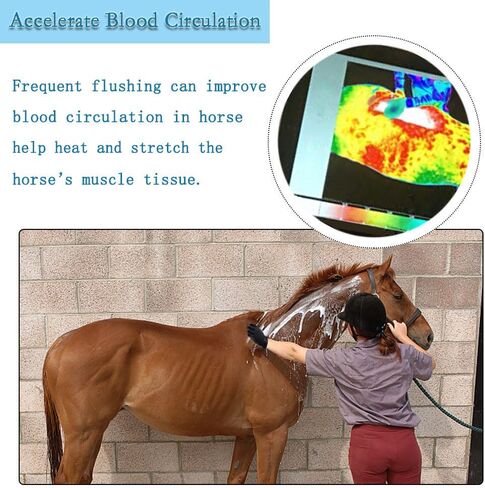 Multifunctional Horse Brush Gloves, Rubber Horse Massage Gloves, Horse Grooming Brush, Breathable Horse Hair Remover Mitt for Horse Dog and Cat Washing Grooming Shedding (Black) in Kuwait