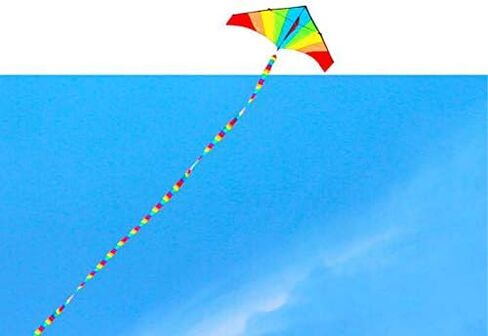 Ultra Fun 98 FT (30M ) Long Rainbow Tail for RC Drone, Kite, Air Show, Aerobatic Flight in Kuwait