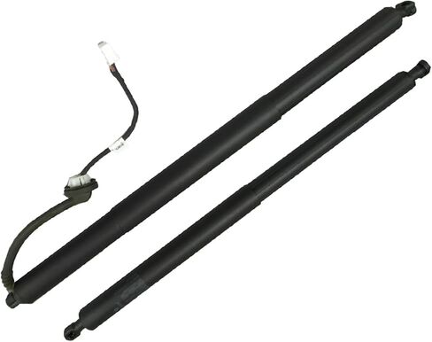 PM Auto Pair of 2 Rear Left-Right Driver Tailgate Power Lift Supports Struts For 2020-2024 Tesla Model Y in Saudi Arabia