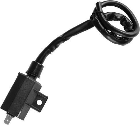 Caltric Ignition Coil Compatible with Kawasaki Klr650 Kl650 1987 1988 1989 1990 1991 1992 1993 1994 1995-2007 in Saudi Arabia