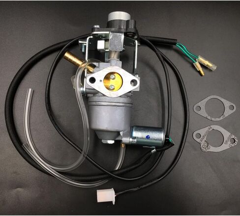 Huayi OEM Carbretor Carb متوافق مع Champion 3400 3060 واط مولد الوقود المزدوج 100263 جزء الاستبدال in Saudi Arabia