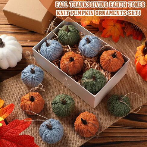 12 Pcs Mini Knit Pumpkins Fall Pumpkin Ornaments Thanksgiving Small Fall Crochet Ornaments Decorative for Autumn Rustic Farmhouse Harvest Decoration (Mini Autumn Set) in Saudi Arabia